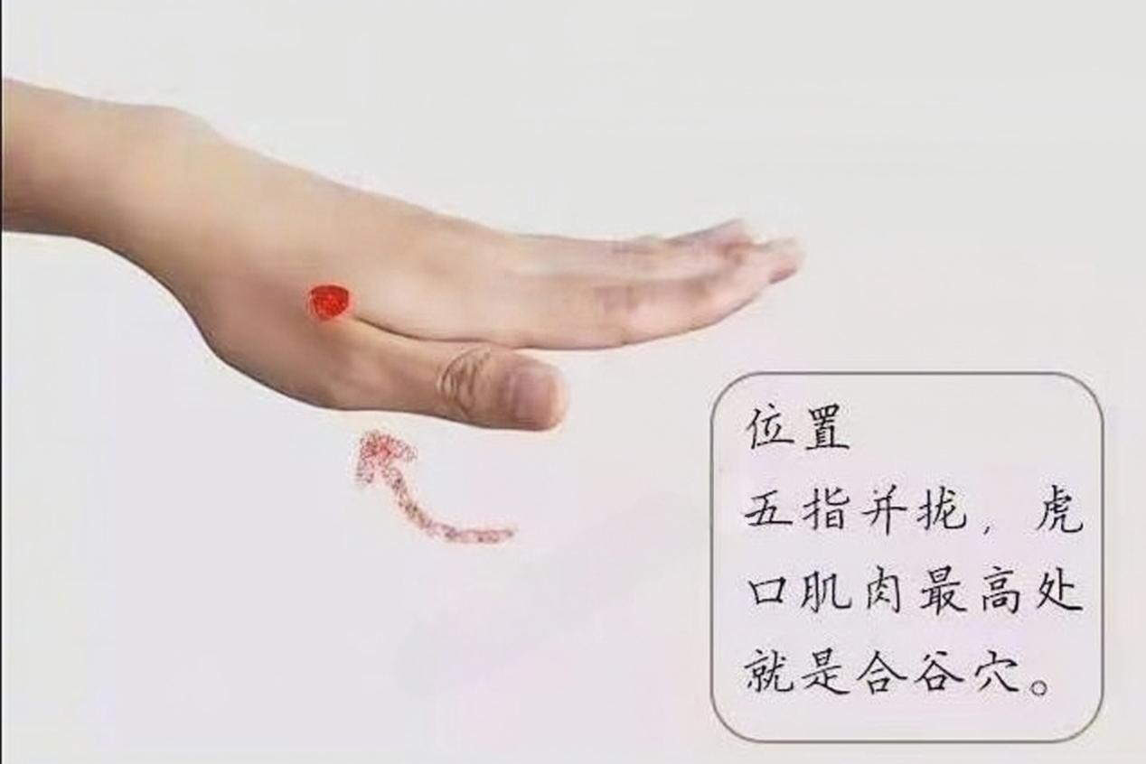 原图 12