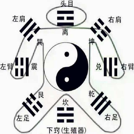 原图 46