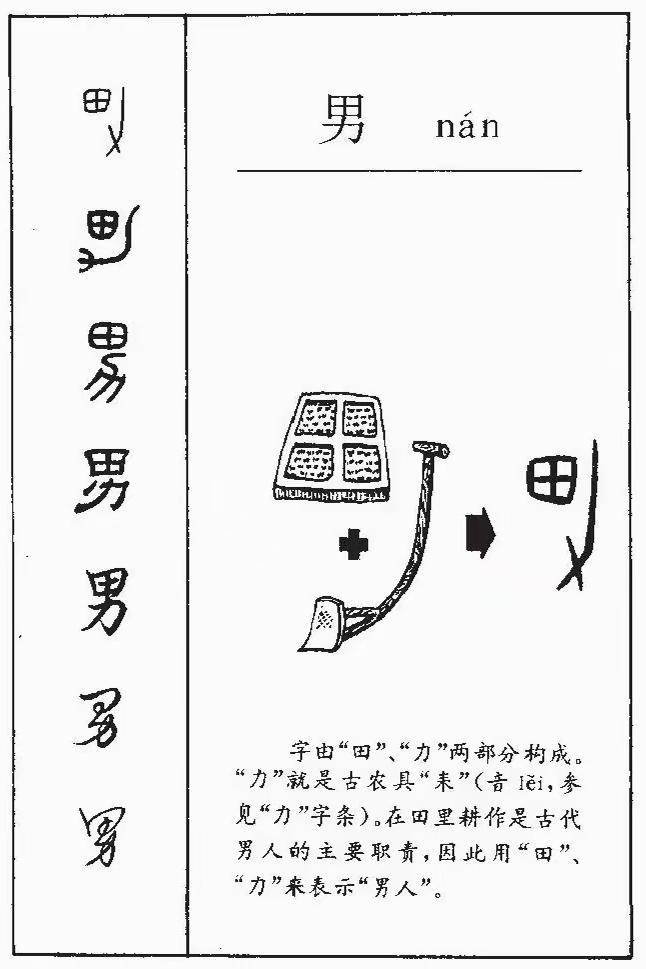 原图 56