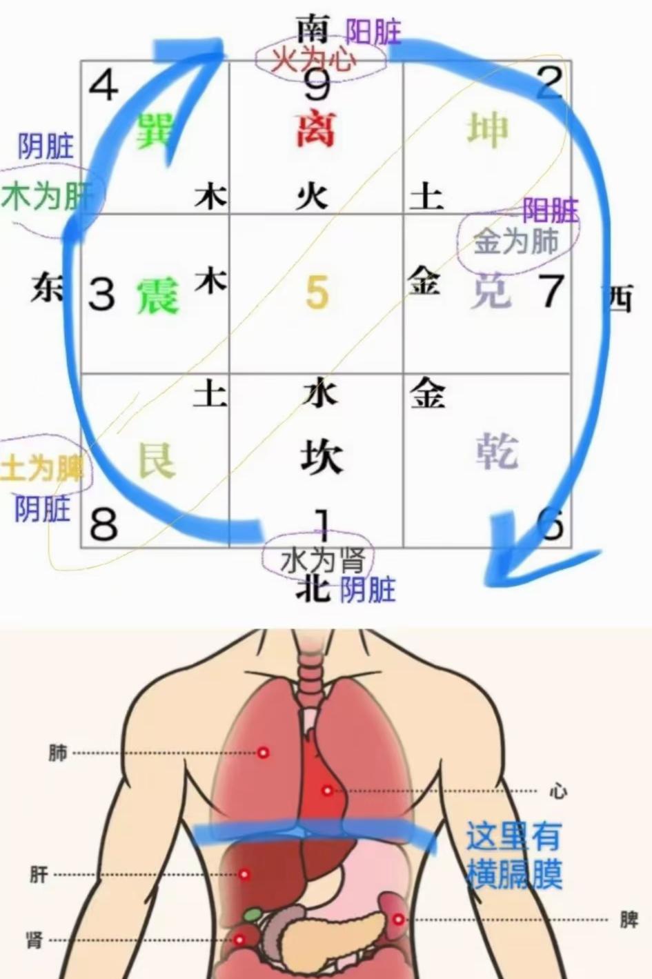 原图 87