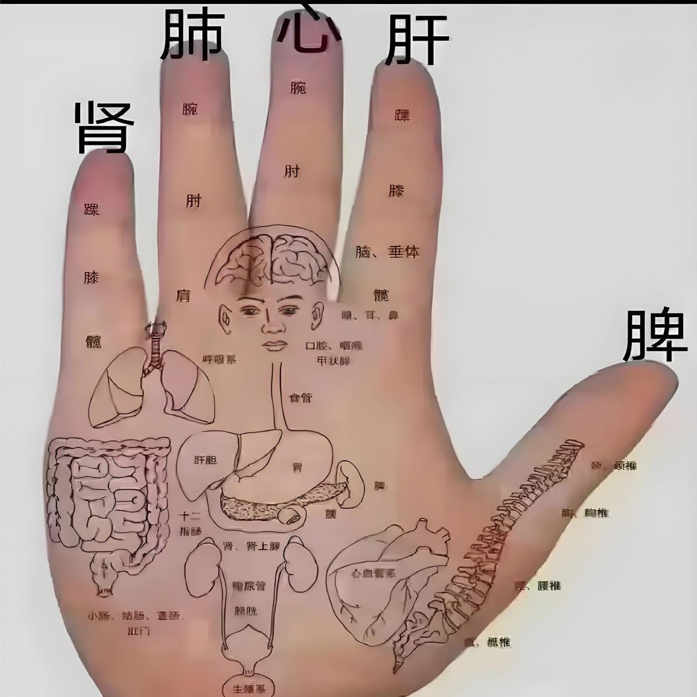 原图 90