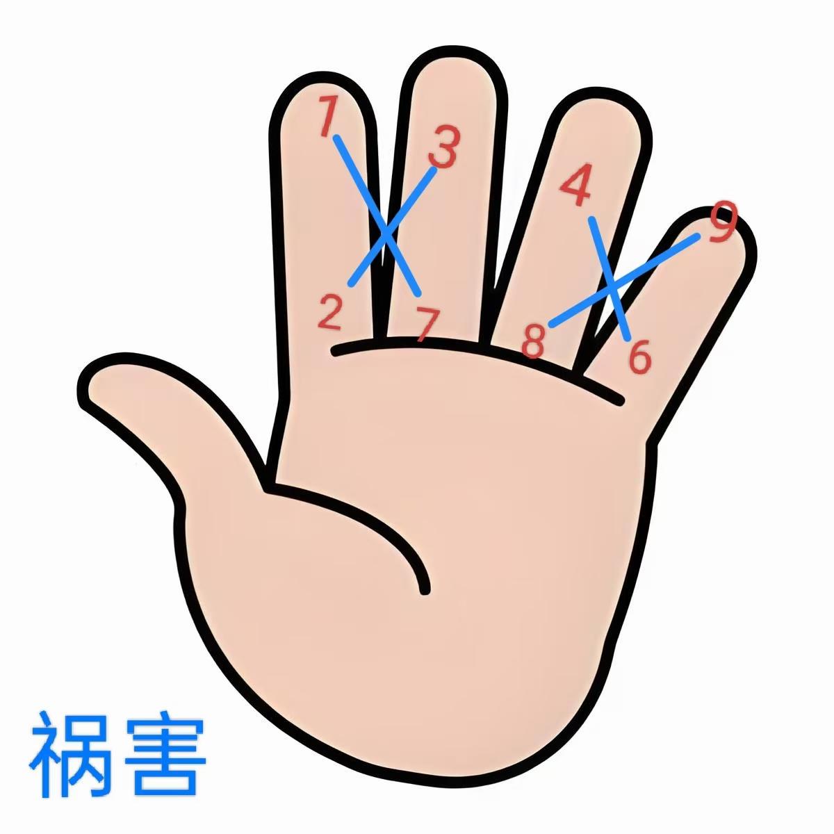 原图 204