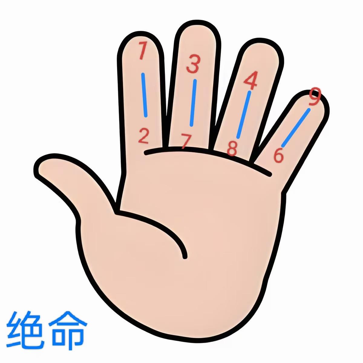 原图 206