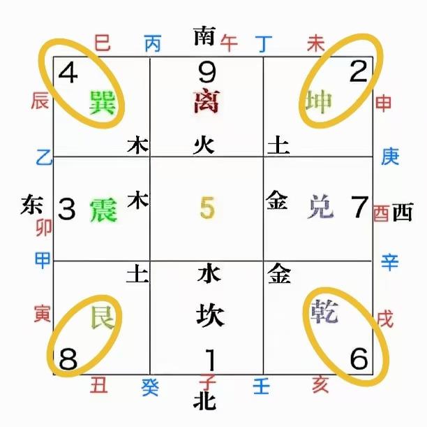 原图 242