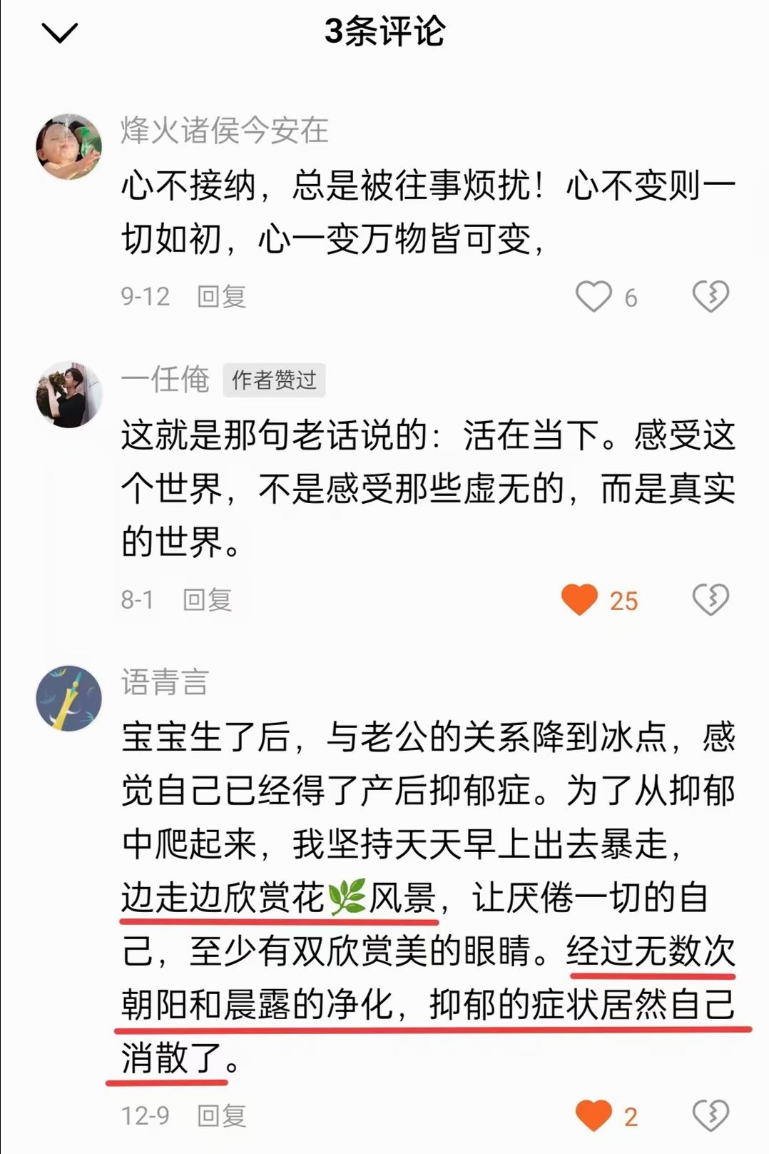 原图 307