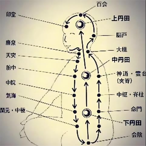 原图 365