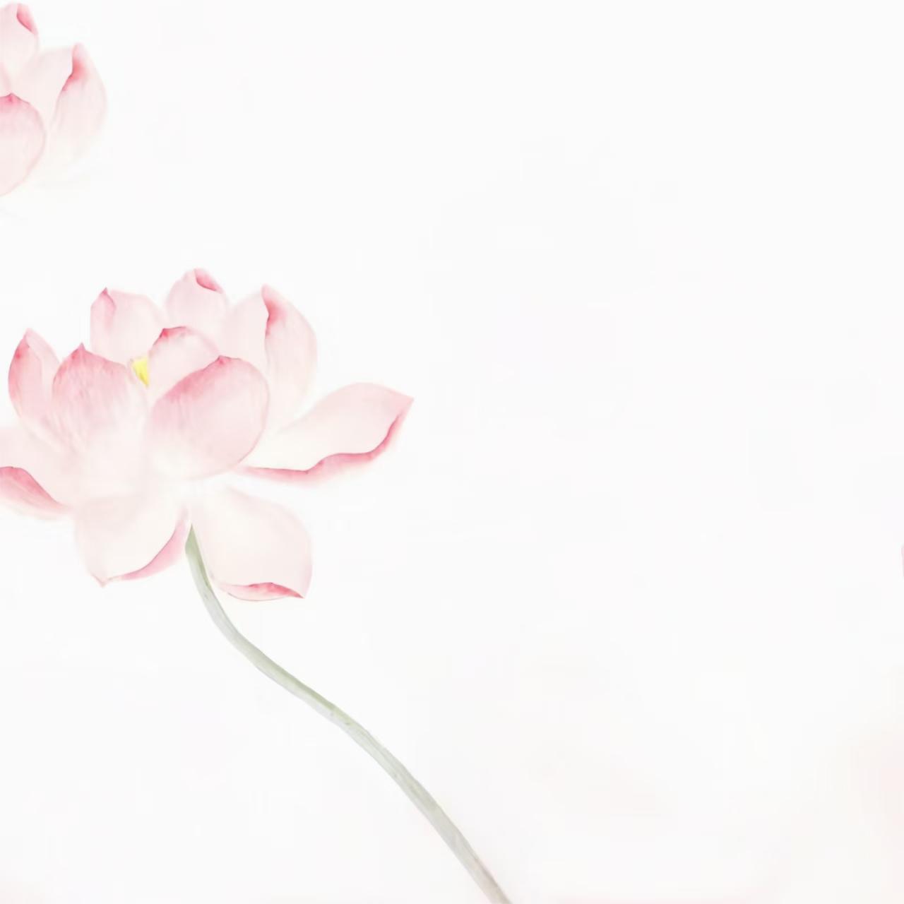 原图 386