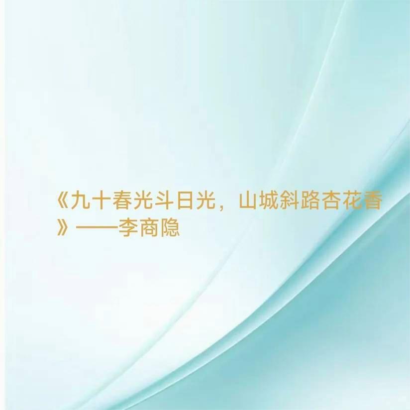 原图 391