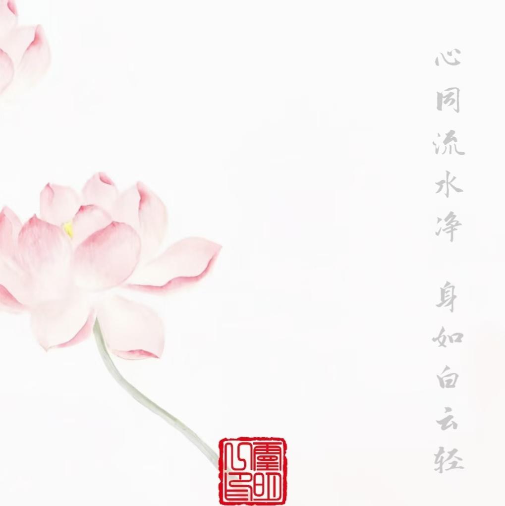 原图 406