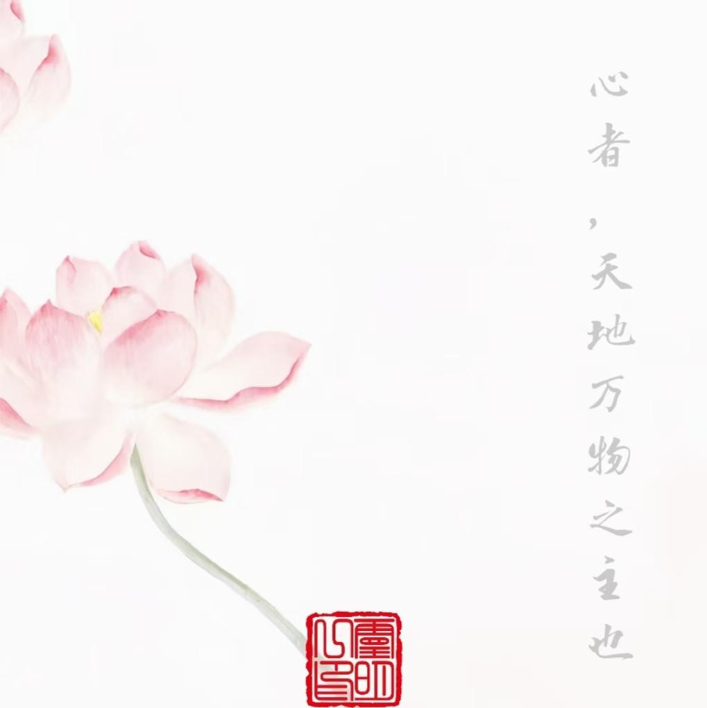 原图 408