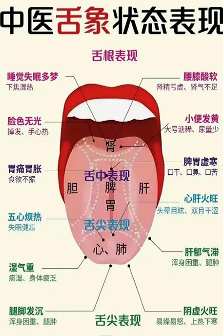 原图 459