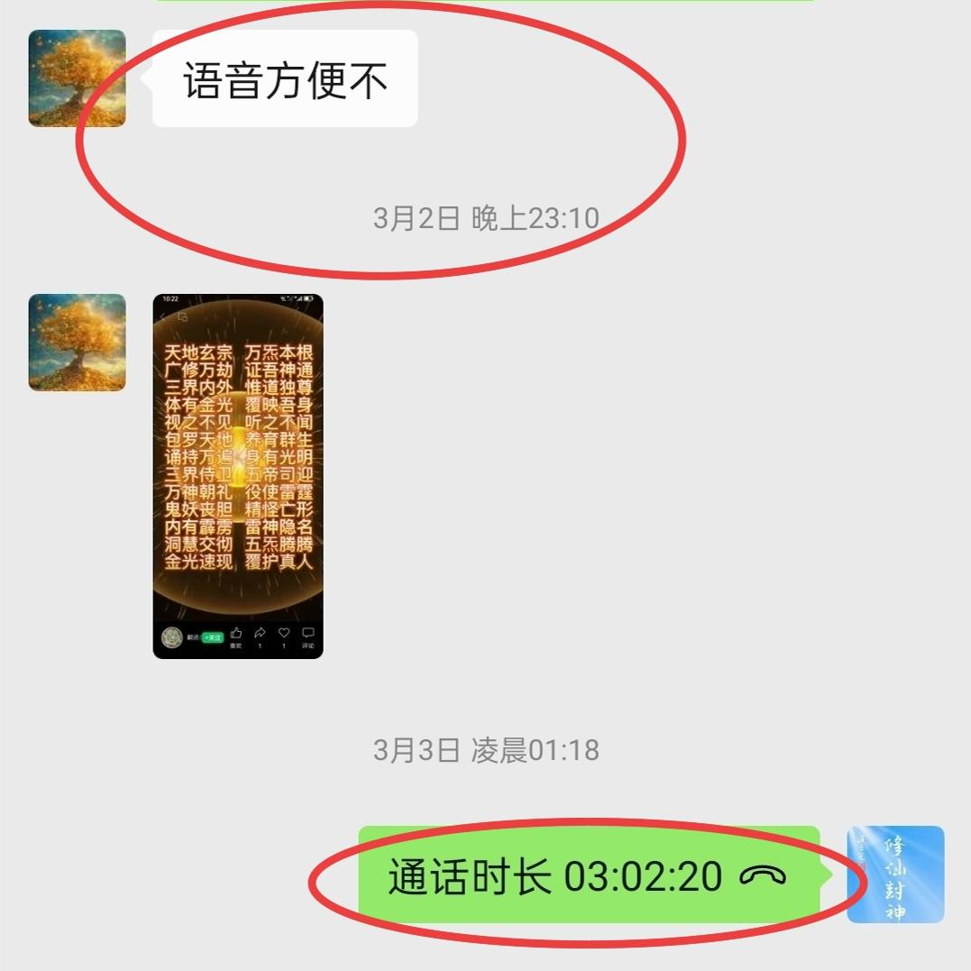 原图 537